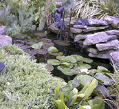 Pond 2